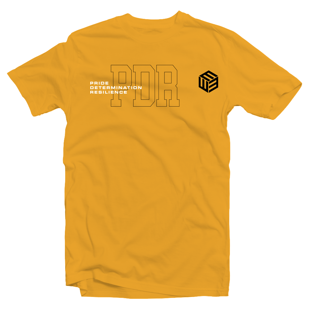 Trey Pride Determination Resillience Men Shirt